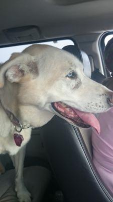 PayetteJames's profile picture. 