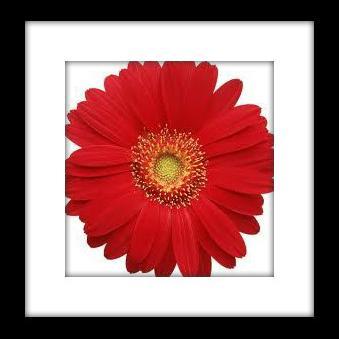 RetroVtgMod's profile picture. 