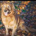 Ryan Cyrus - @DigitalCyrus - Twitter