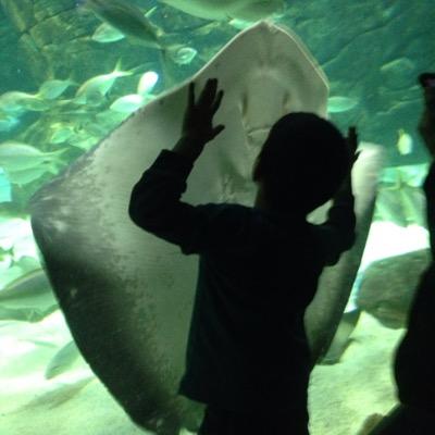 JennVenalainen's profile picture. TDSB teacher passionate about inquiry-based environmental education.