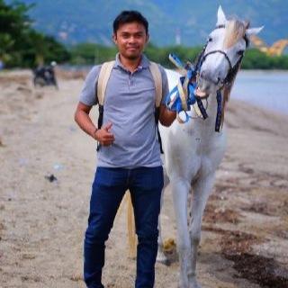 pin 51C7AC29