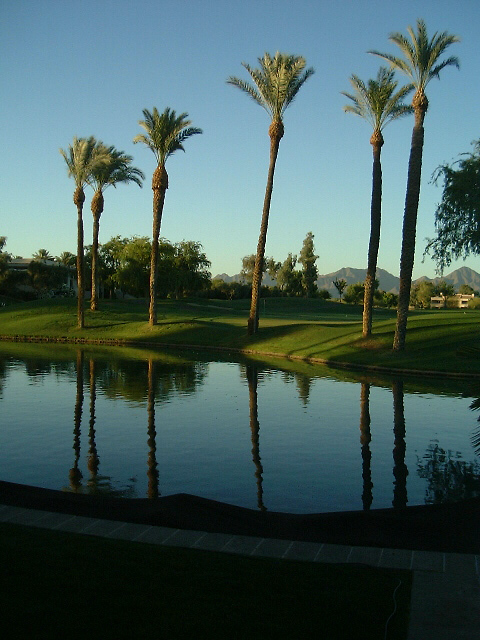 Bringing you all the things that you should do in Arizona.
