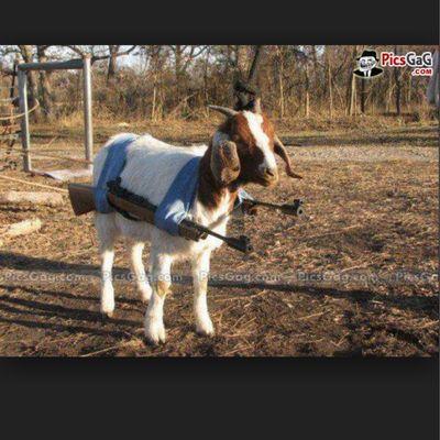 fckyofeelingx's profile picture. Speak that 100 my tongue like bullets it hurt when I spazz out