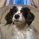 harry willard - @WillardHarry - Twitter