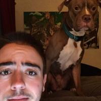 sam nagorney (@sammy_sam14) 's Twitter Profile