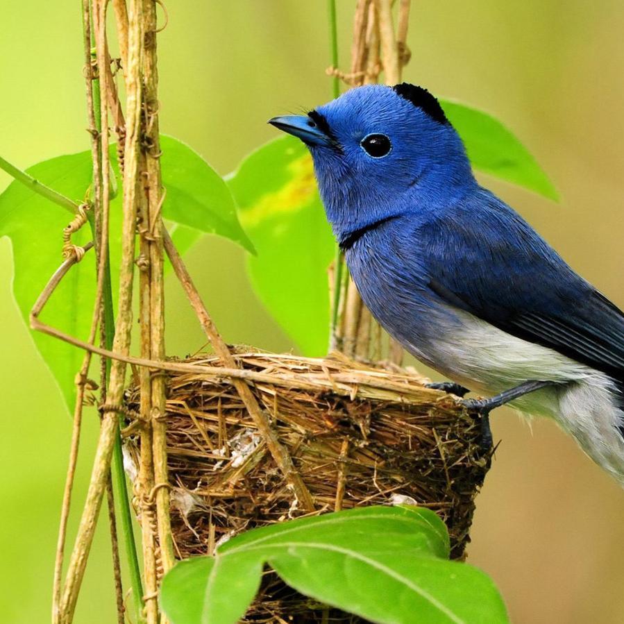 kuldeepsing782's profile picture. 