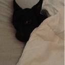 Morgan Tanner - @dd973552 - Twitter