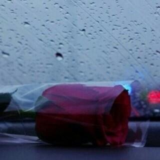 LodiL1's profile picture. الخاص مغلق تدرعم خاص بلووك