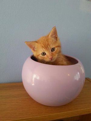 PartUmar's profile picture. 