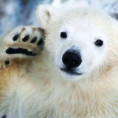 clayaharu_59's profile picture. KG LJC/元吹部/Clarinet×Piano/SHISHAMO/古川雄輝/いちご 。このアカウント4月から使いません！  【@ayaharu_cl_59】こちらのフォローよろしくお願いしますー！