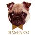 HAM-NICO (@hum_nico) Twitter profile photo HAM-NICO (@hum_nico) Twitter profile photo