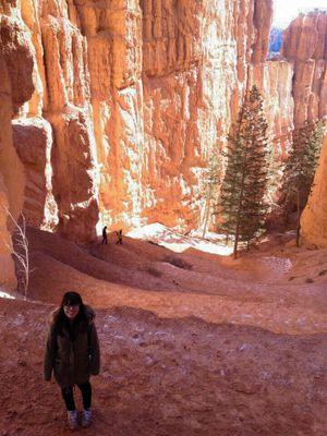 LaurawlyLaura's profile picture. Working on AI agent