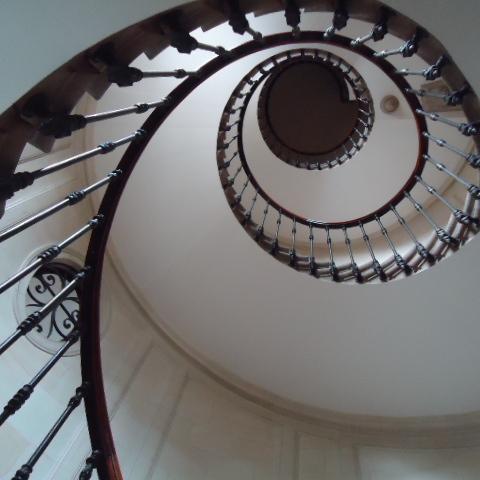 foreagir's profile picture. 