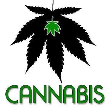Sativa Magazine; The Cannabis Business Owners resource guide and inspiration. Cannabis / Marijuana Stock business ideas and more. http://t.co/gc2Ilb7mLv