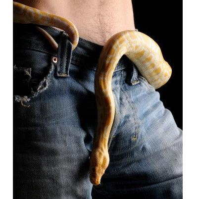 The truth is that there are natural and effective methods that any man can use to get a larger and stronger penis