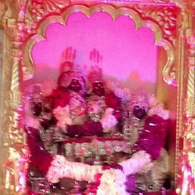 4716d75df29a403's profile picture. 