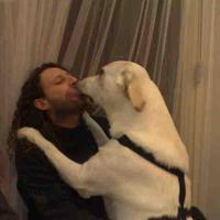 Massimo (@massimodeadman) 's Twitter Profile