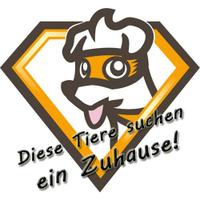 Tierheimhelden Tiere (@thh_tiere) 's Twitter Profile