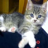 Nil Ay Su Yüksel (@yuksel_nil) 's Twitter Profile