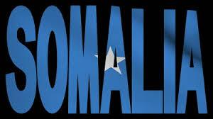 somaliempowered's profile picture. Somali Activist\\...Unity of Somalia\\...Youth Empowerment\\...Somali Empowerment