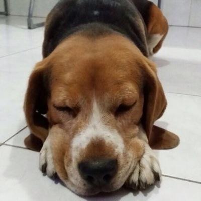 Algundia espero ser un guitarrista muy famoso y reconocido con familia