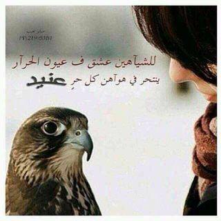 ‏‏ياغالي الأثمان بالسعـر والنوع
والناس مثل الخام غالين وإرخاص
من غيرلاتكتب على الخاص ممنوع
ماني من اللي يزعج الناس بالخاص