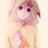 arf_maru's profile image