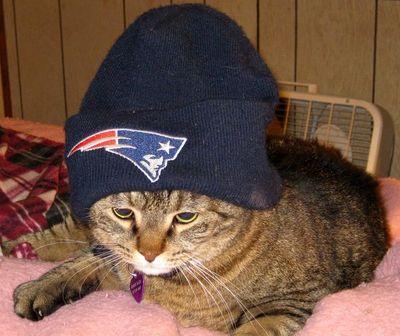 I hiss, scratch and attack Non-Pats fans who come to watch the game at Foxborough