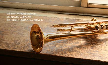 bmjv157's profile picture. 「トランペットを始めたい！でも年齢が…」そんなあなたの不安を解消する極秘情報を公開します。