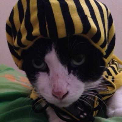 zennyenvy's profile picture. 