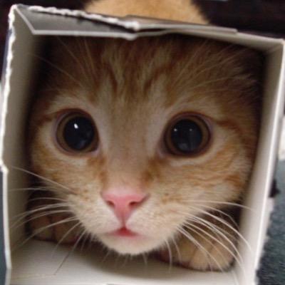 yuzin55's profile picture. 