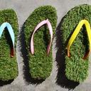 Dave Carr - @grassfloppers - Twitter