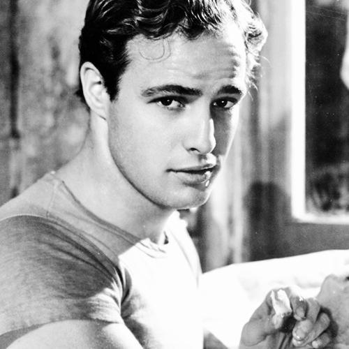 MarinaHaz's profile picture. Commander In Chief