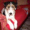 Sandra Cora - @CoraSandra88 - Twitter