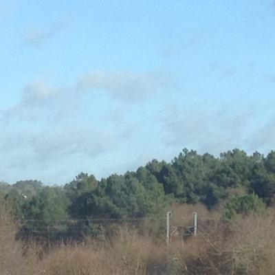 chouk5656's profile picture. 