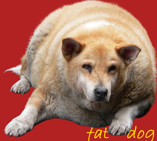 3char's profile picture. mad about iOS & 3D typography