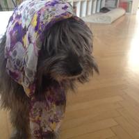 Anna H. (@gracetellly) Twitter profile photo