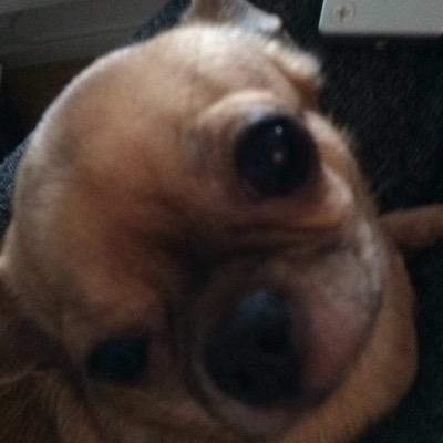 vibekeeeee's profile picture. :)