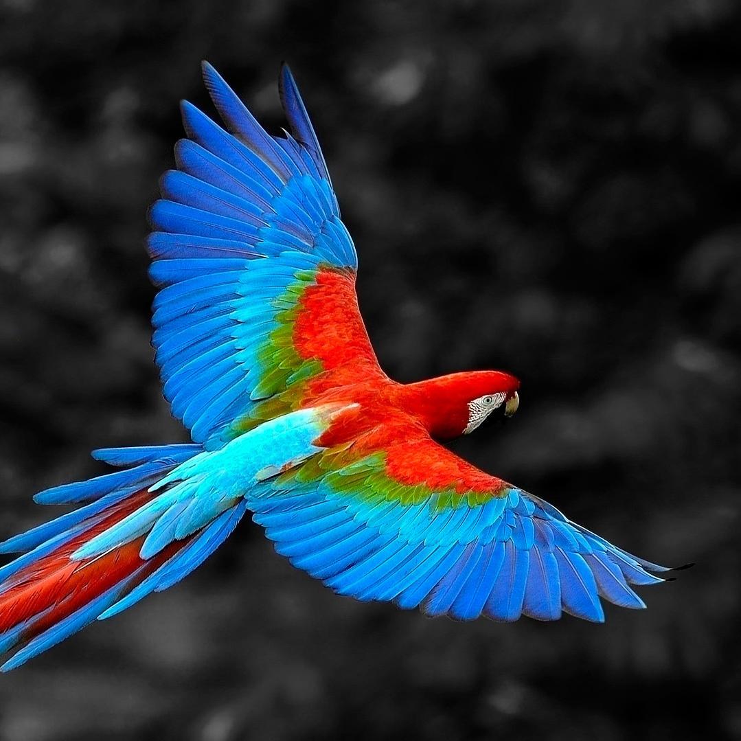 UniversumFollow Profile Picture