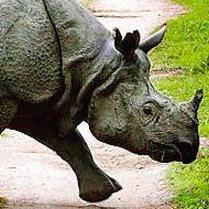 We shall overcome someday!! Man main hain biswas, pura hain biswas!!