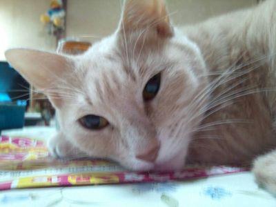 よろしくです。