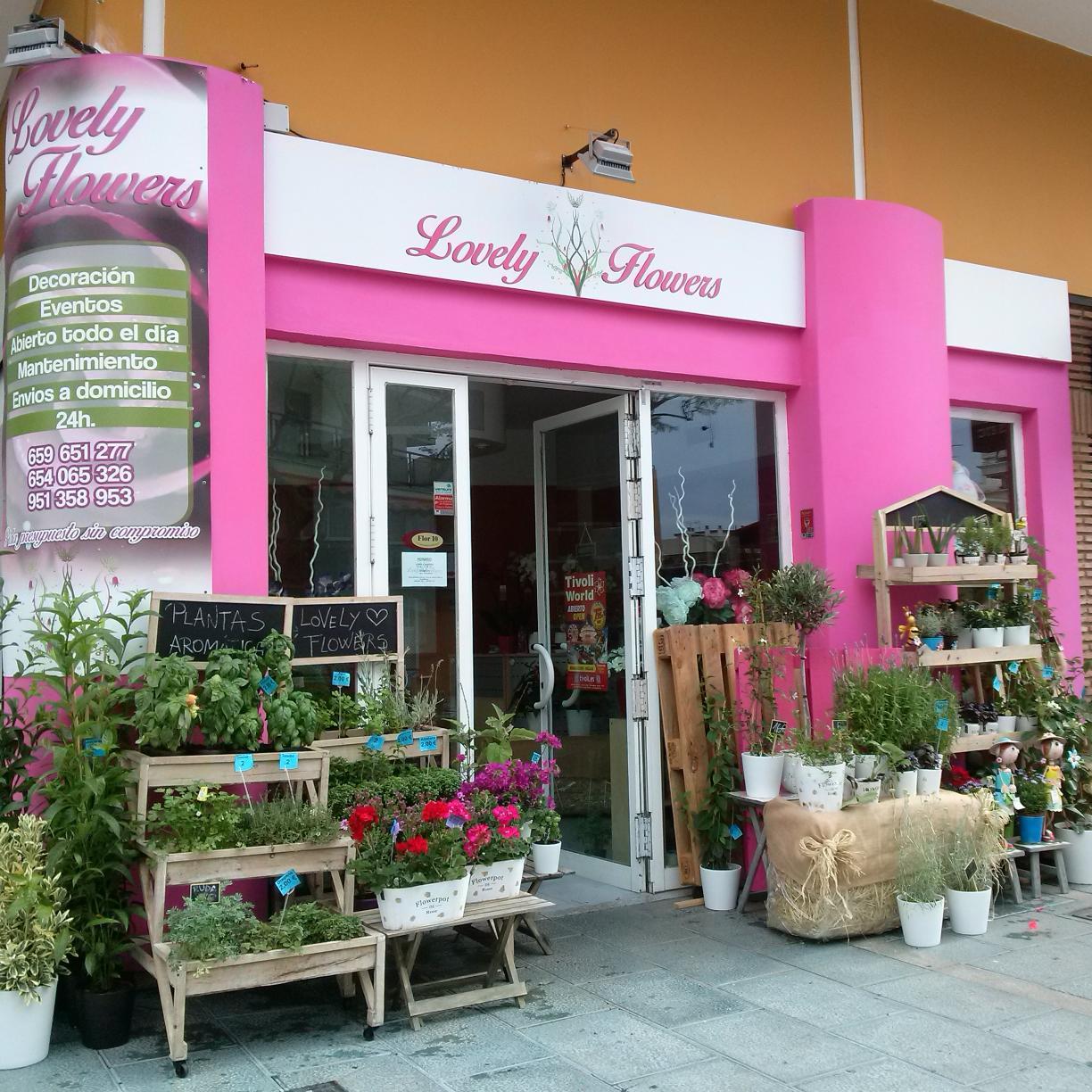 GRAN VARIEDAD FLORES Y PLANTAS. OFERTA. ENVIOS A DOMICILIO. ABIERTO TODOS LOS DÍAS.