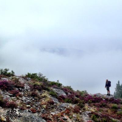 dv_willgo's profile picture. 