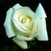 RutlandGardenCentre (@rutlandgardenc) Twitter profile photo