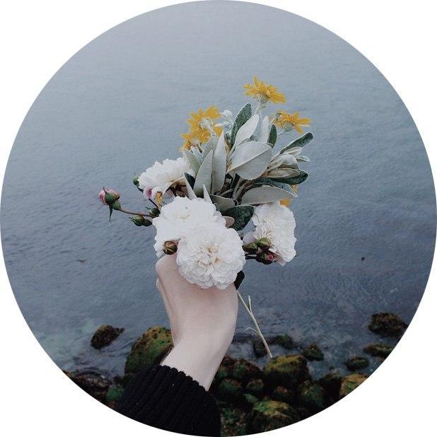 NO_BESY's profile picture. 