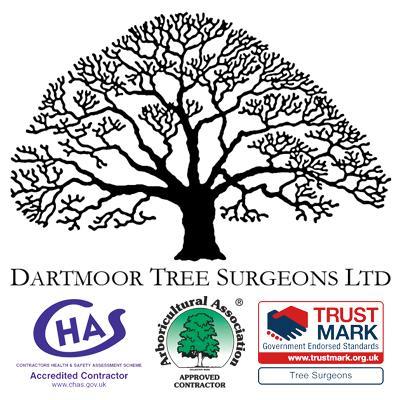 DartmoorTreeSurgeons