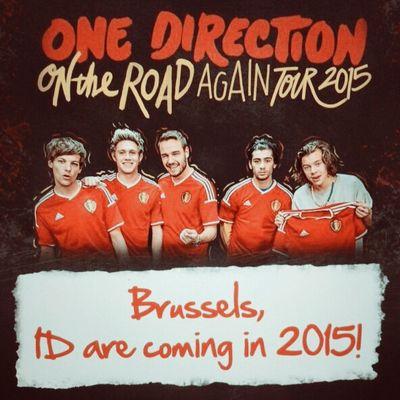 One Direction will come on the 13th June 2015 to Brussel. We giving you the latest Updates & we plan fan projects!