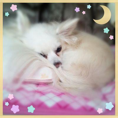 momorie Profile Picture