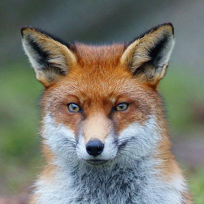 Sharing news from around the county of Leicestershire