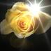 Cynthia Chambers (@ccdailywisdom) Twitter profile photo